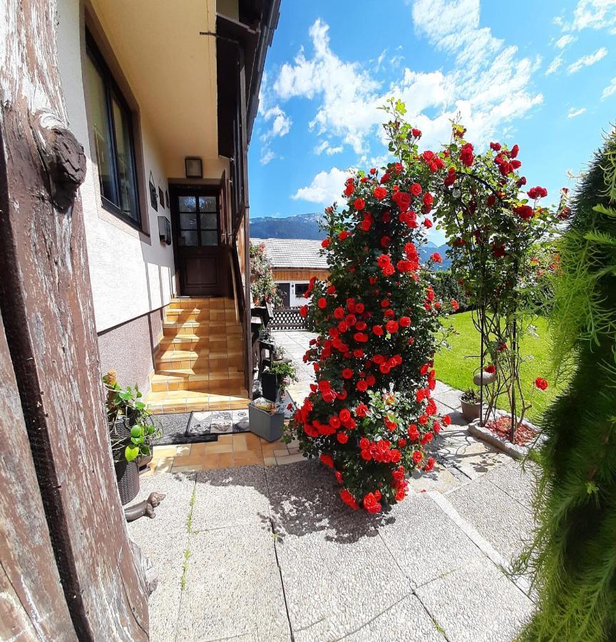 Appartment Luki Haus im Ennstal Zewnętrze zdjęcie