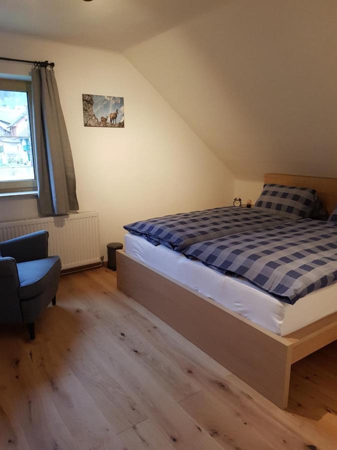 Appartment Luki Haus im Ennstal Zewnętrze zdjęcie