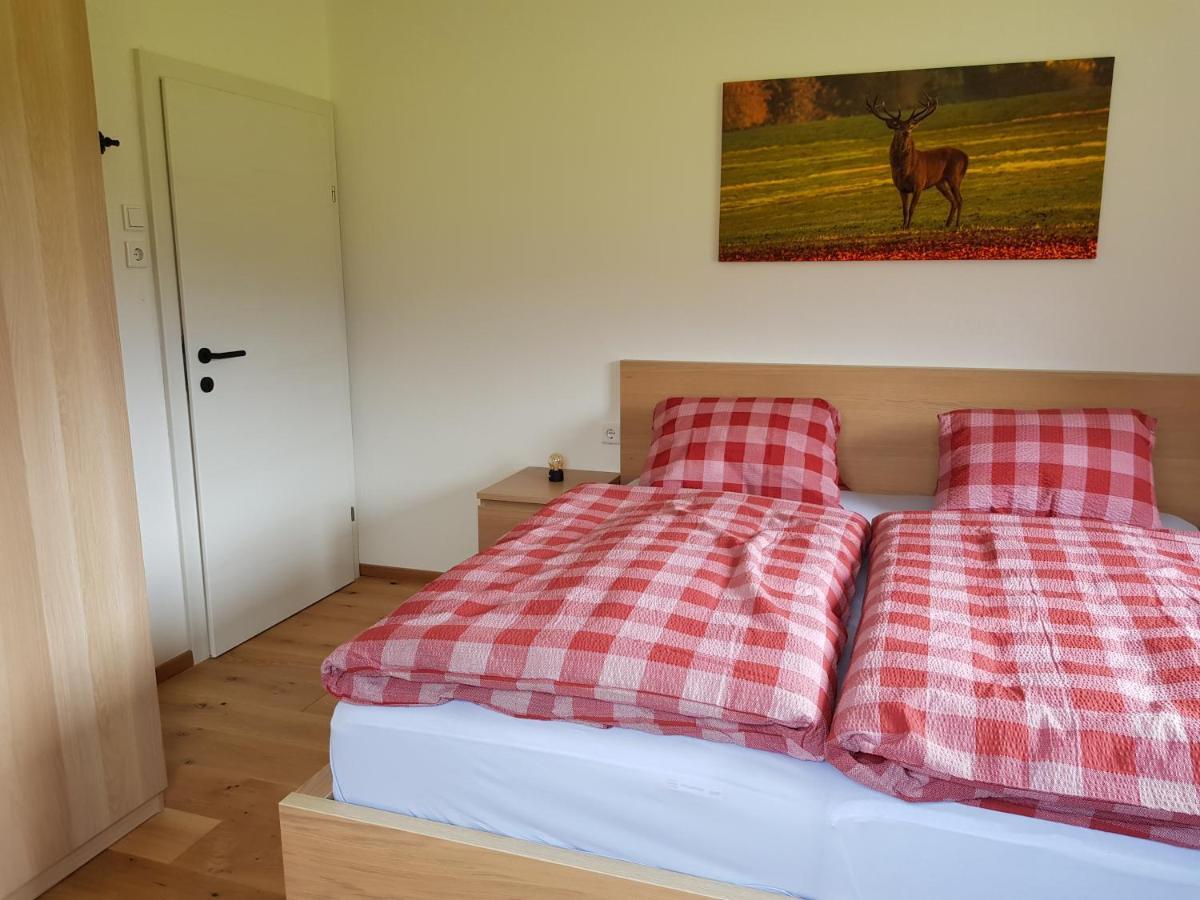 Appartment Luki Haus im Ennstal Zewnętrze zdjęcie